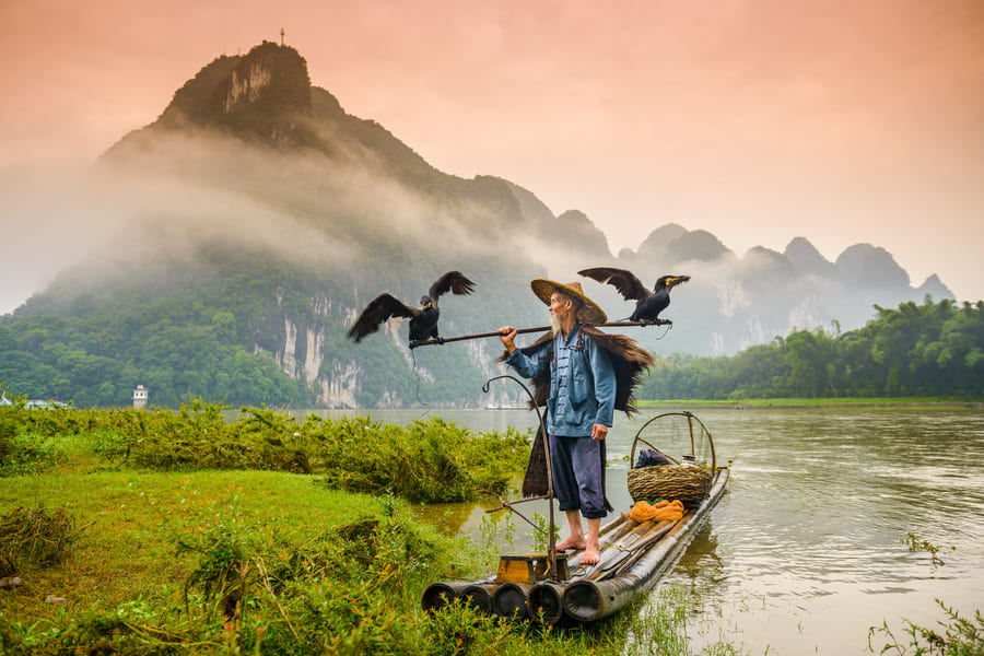 pescador yangshuo-cormoran
